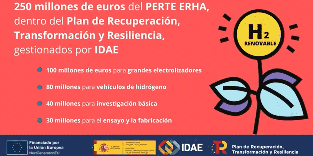 El MITECO abre cuatro programas de ayudas a la cadena de valor ...